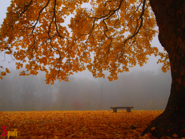 Foto Herbst Stuttgart by 3podi®